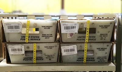 Trays Mail Service