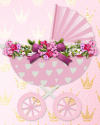 Baby carriage sign